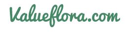 Value Flora Logo