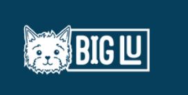 Big Lu Promo