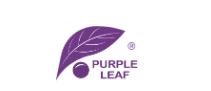 Purple Leaf Discount