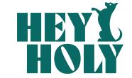 HEY HOLY Promo