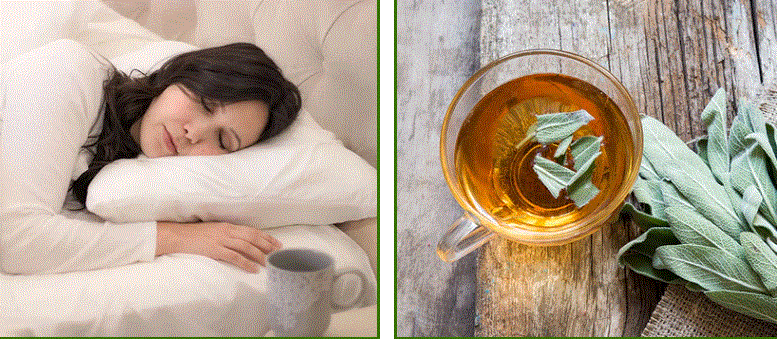 Loose Leaf Tea Market Promo