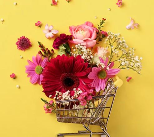 Ferns N Petals Promo