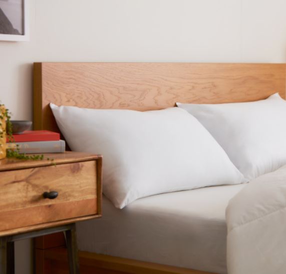 Sleepseeker Promo