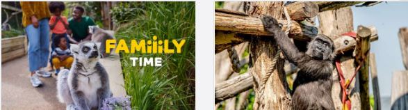 ZSL London Zoo Promo