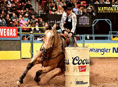Rodeo Seats Promo