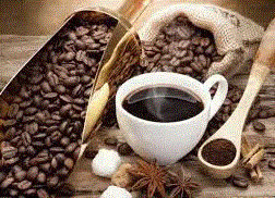 Health Kick Coffee Promo